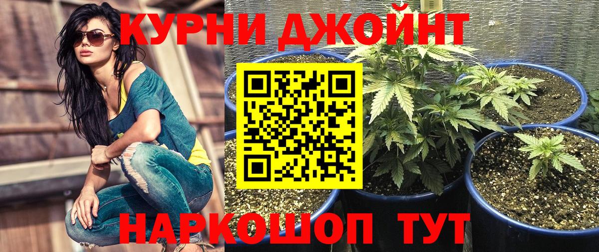 Конопля MAZAR Тольятти